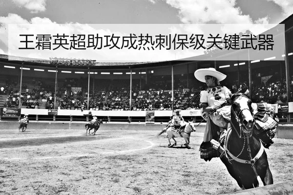 wang-shuang-ying-chao-zhu-gong-cheng-re-ci-bao-ji-guan-jian-wu-qi-2-848.jpg